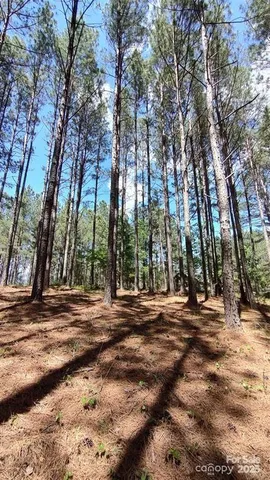 a view of road with trees