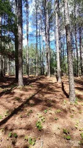 a view of outdoor space with trees