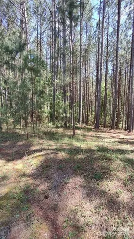a view of outdoor space with trees