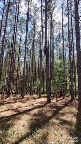 a view of a building with trees