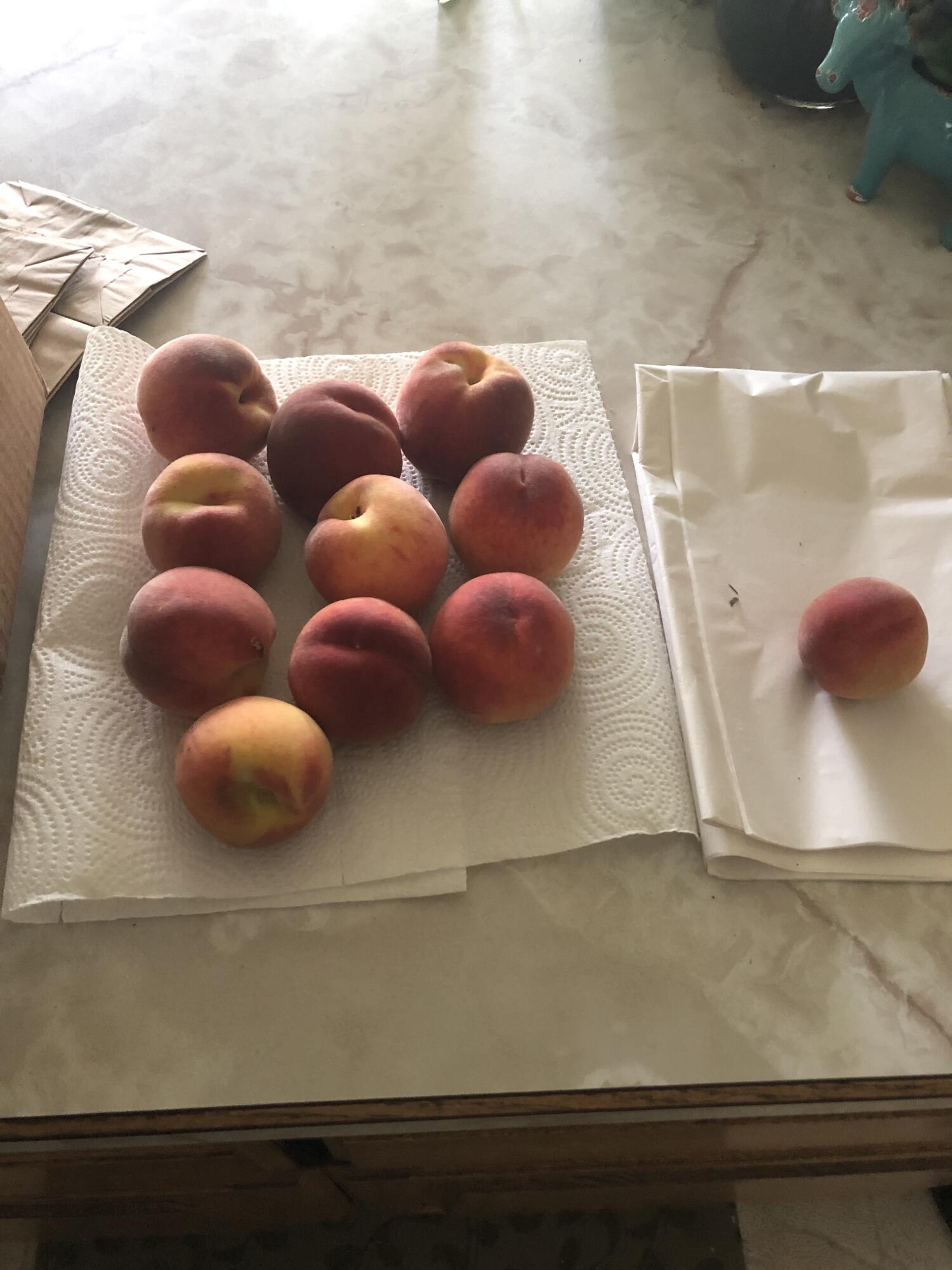 36060 Modoc Point Road Chiloquin, OR 97624 - Photo 14 of 89 Plump Peaches (1)