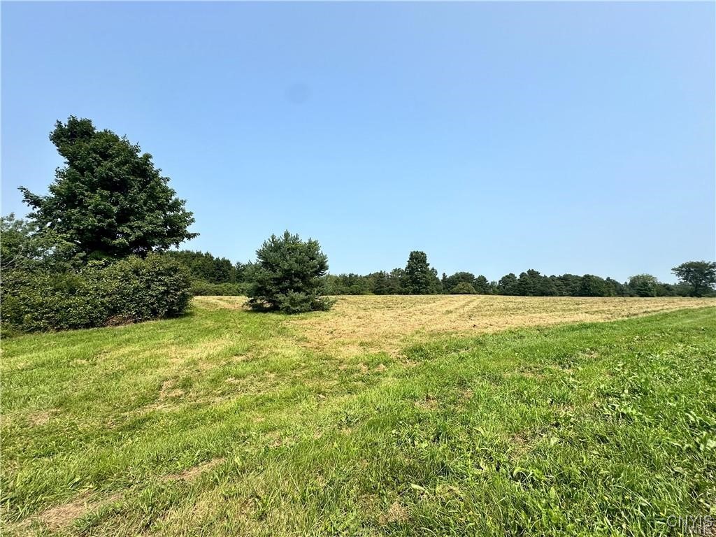 Lot 2 Rt-12 Clayton, NY 13624 - Photo 10 of 11