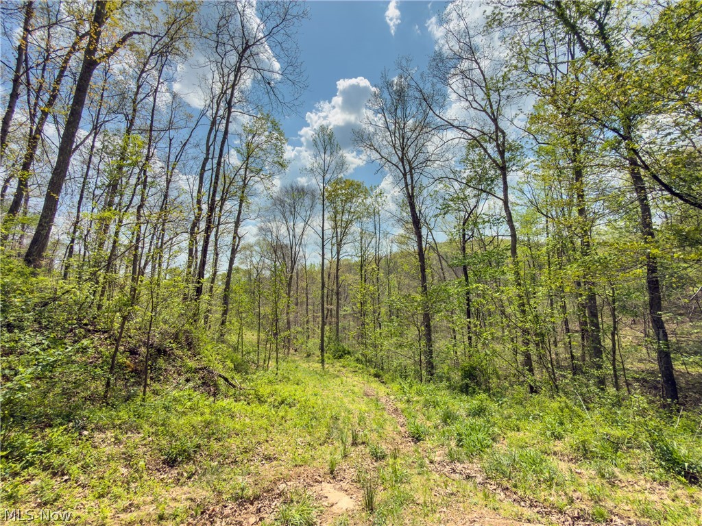 Beardmore Road Wingett Run, OH 45789 - Photo 20 of 43