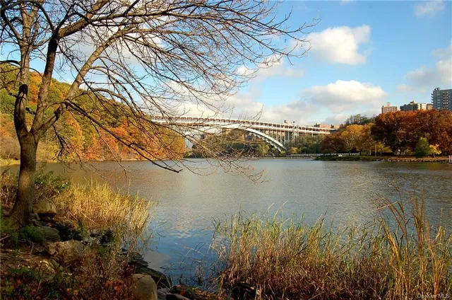 a view of a lake with a mountain