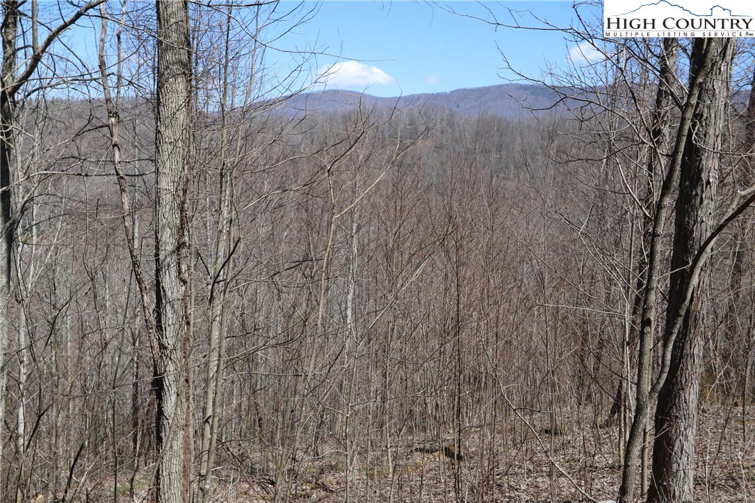 Lot 2 Boulder Ridge Drive Boone, NC 28607 - Photo 12 of 38