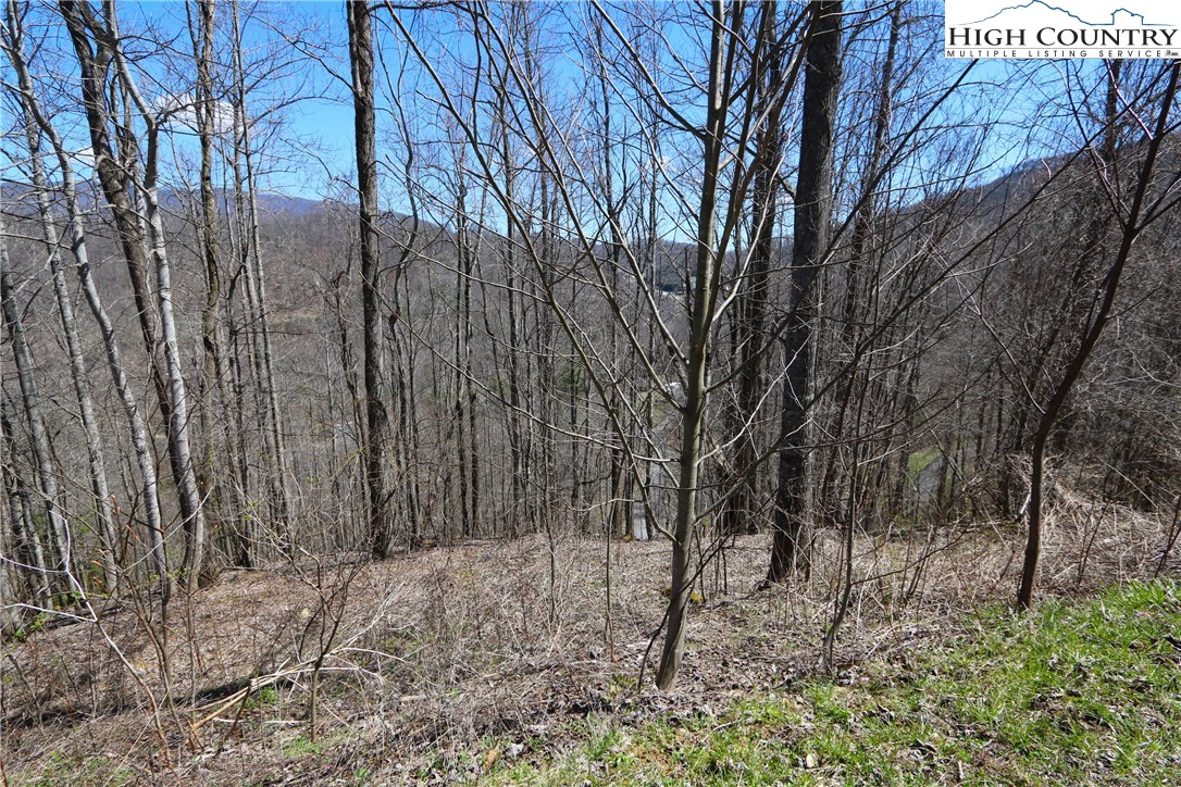 Lot 2 Boulder Ridge Drive Boone, NC 28607 - Photo 13 of 38