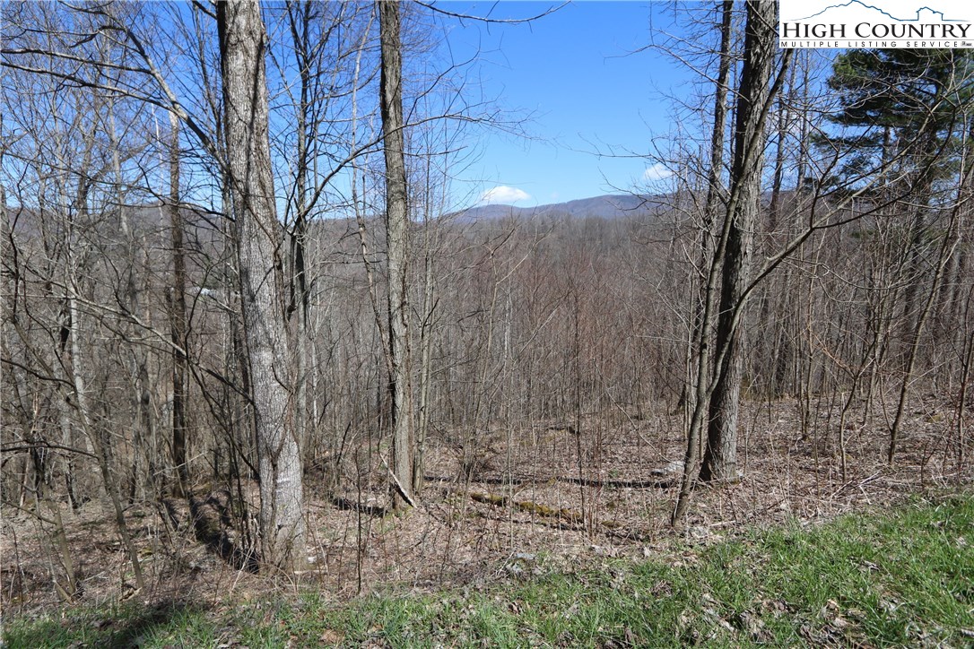 Lot 2 Boulder Ridge Drive Boone, NC 28607 - Photo 14 of 38