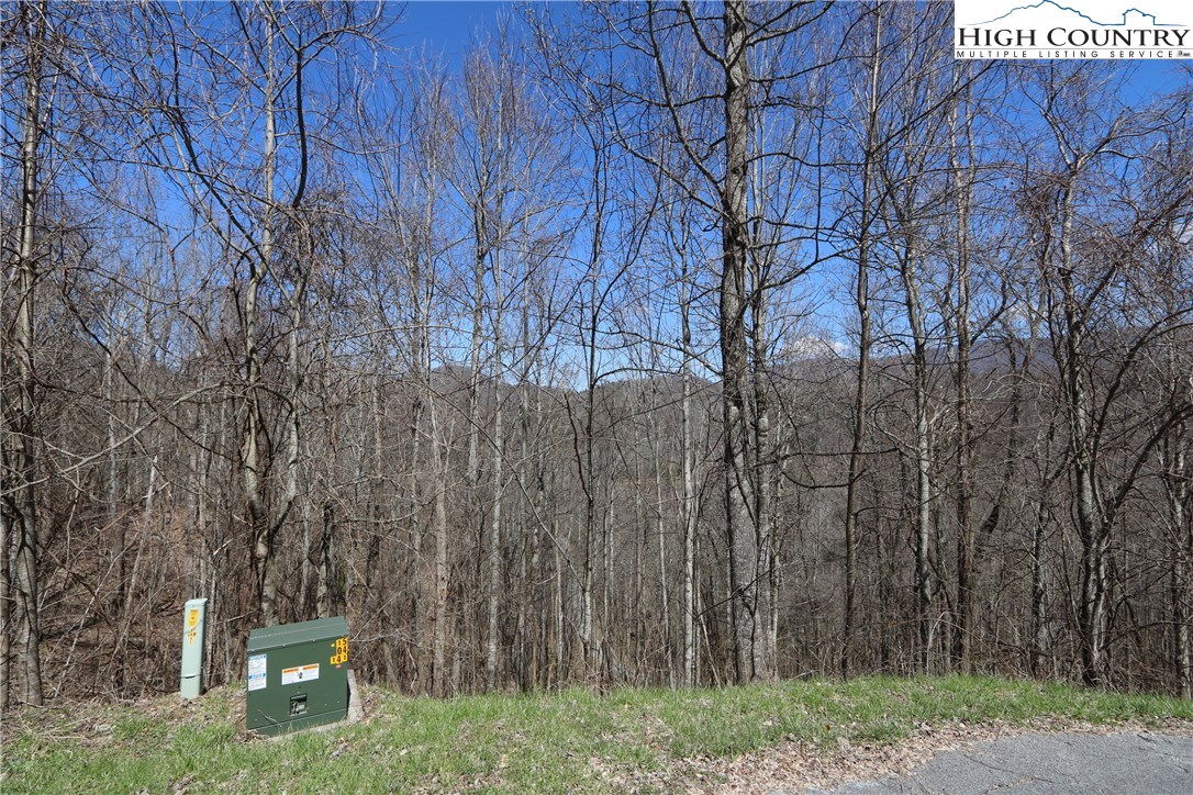 Lot 2 Boulder Ridge Drive Boone, NC 28607 - Photo 18 of 38