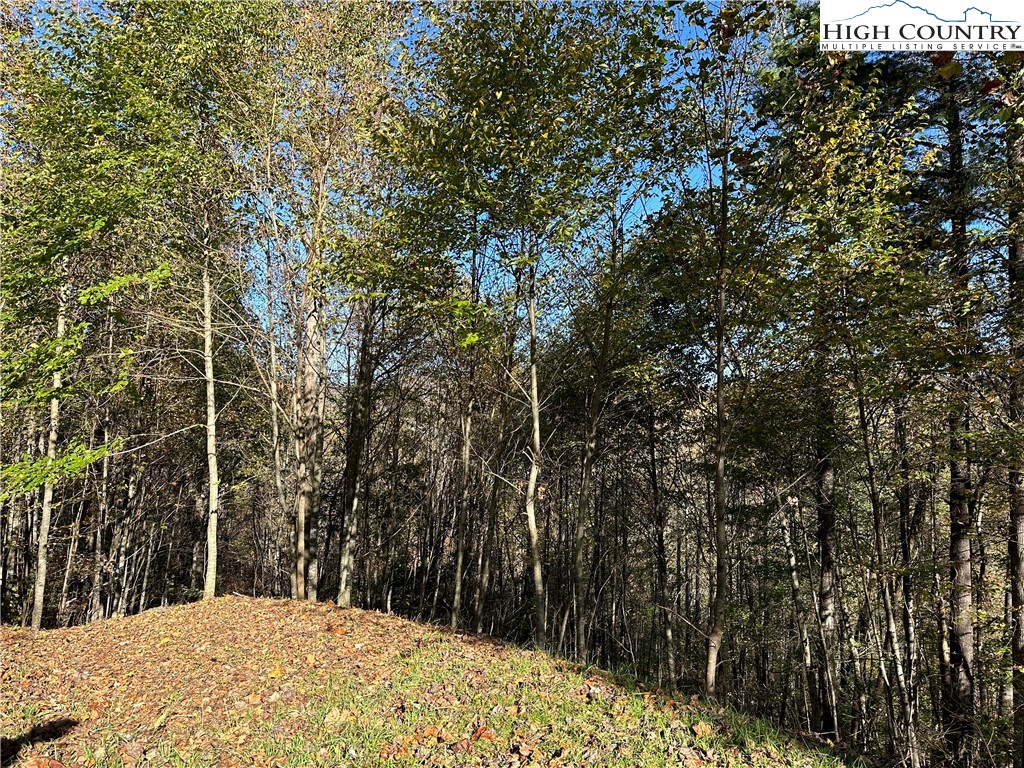 Lot 2 Boulder Ridge Drive Boone, NC 28607 - Photo 30 of 38