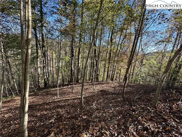 $75,000 | Lot 2 Boulder Ridge Drive, Boone, NC 28607