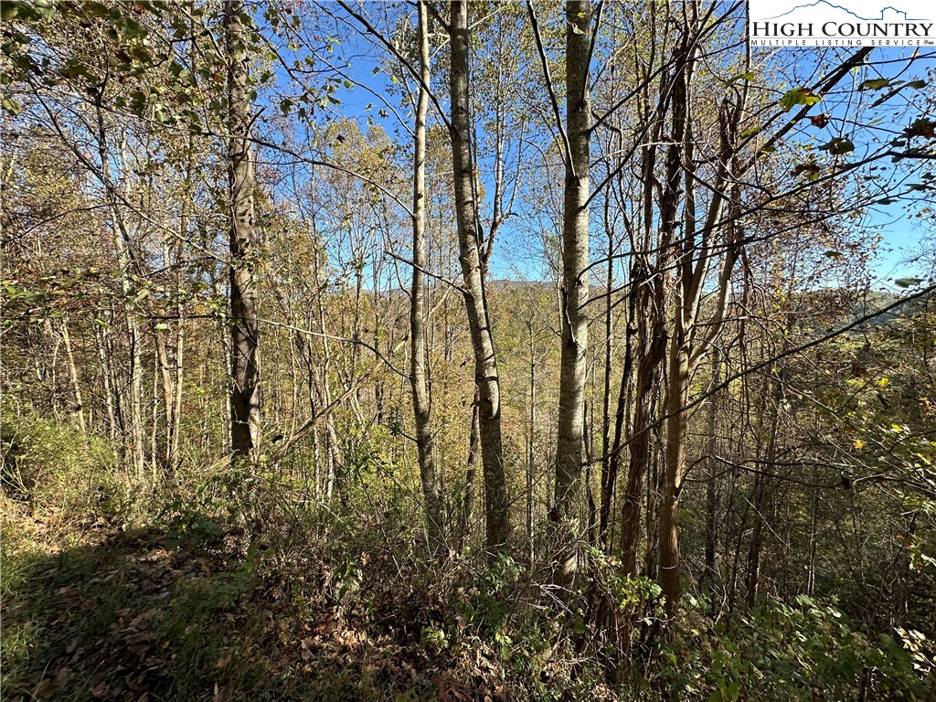 Lot 2 Boulder Ridge Drive Boone, NC 28607 - Photo 36 of 38