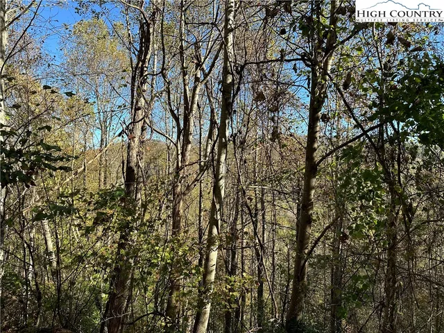 $75,000 | Lot 2 Boulder Ridge Drive, Boone, NC 28607