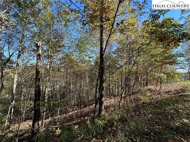 $75,000 | Lot 2 Boulder Ridge Drive, Boone, NC 28607