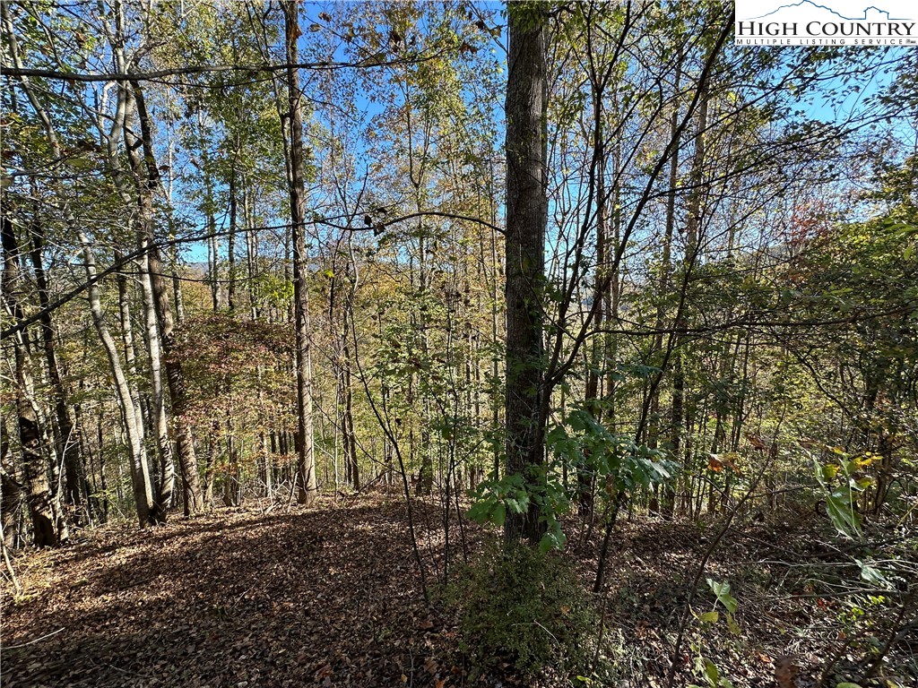 Lot 2 Boulder Ridge Drive Boone, NC 28607 - Photo 4 of 38