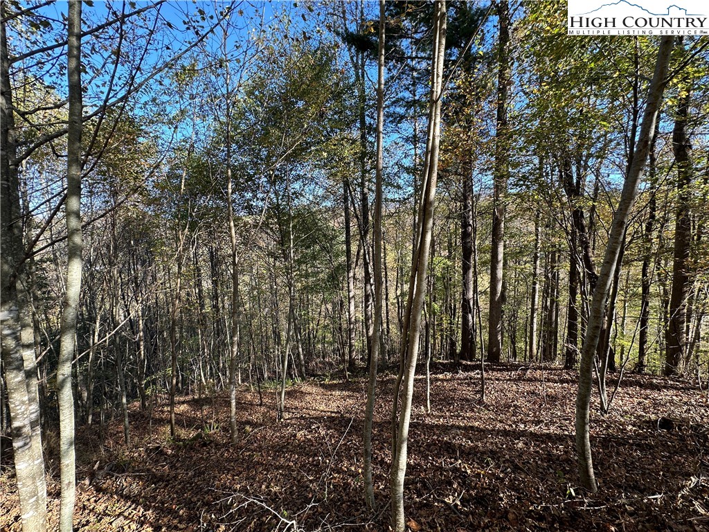 Lot 2 Boulder Ridge Drive Boone, NC 28607 - Photo 5 of 38