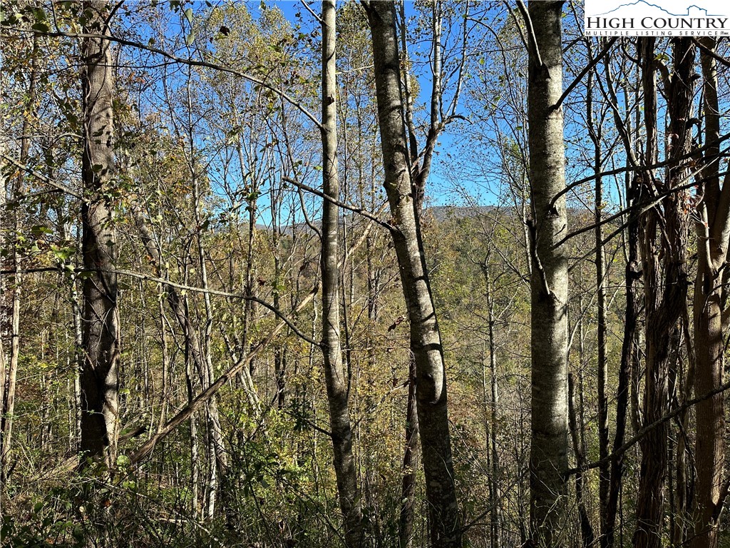 Lot 2 Boulder Ridge Drive Boone, NC 28607 - Photo 6 of 38