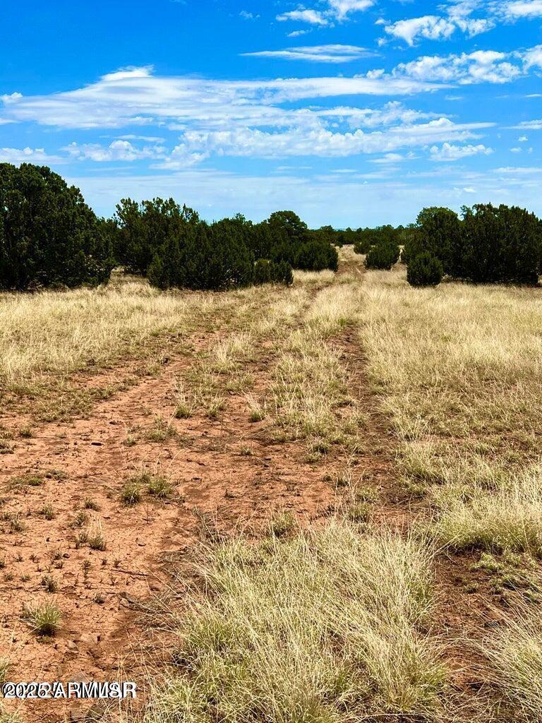 85 Co Road Concho, AZ 85924 - Photo 11 of 12 20251115102232389664000000-o