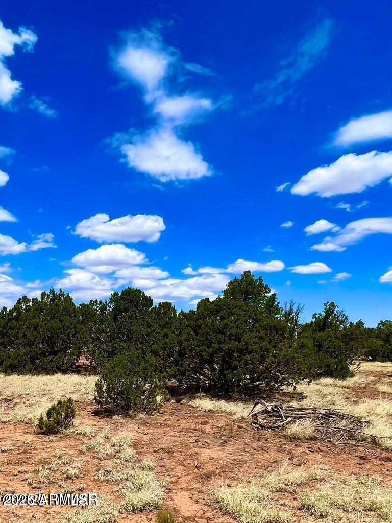 85 Co Road Concho, AZ 85924 - Photo 12 of 12 20251115102253188630000000-o