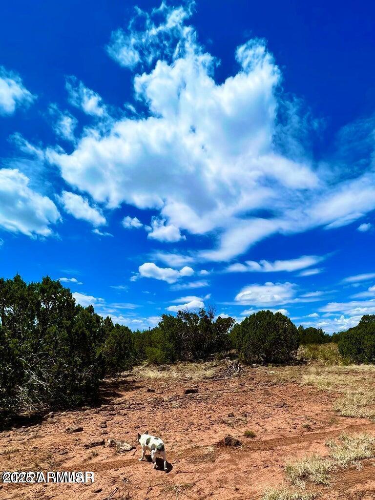 85 Co Road Concho, AZ 85924 - Photo 8 of 12 20251115102125702874000000-o