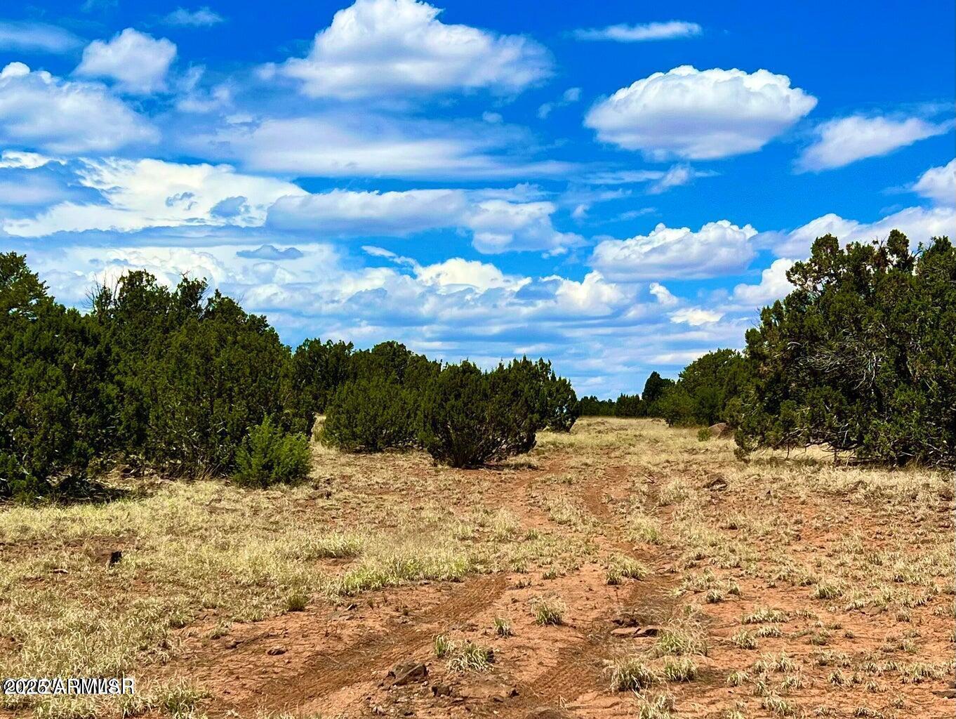 85 Co Road Concho, AZ 85924 - Photo 10 of 12 20251115102217790943000000-o