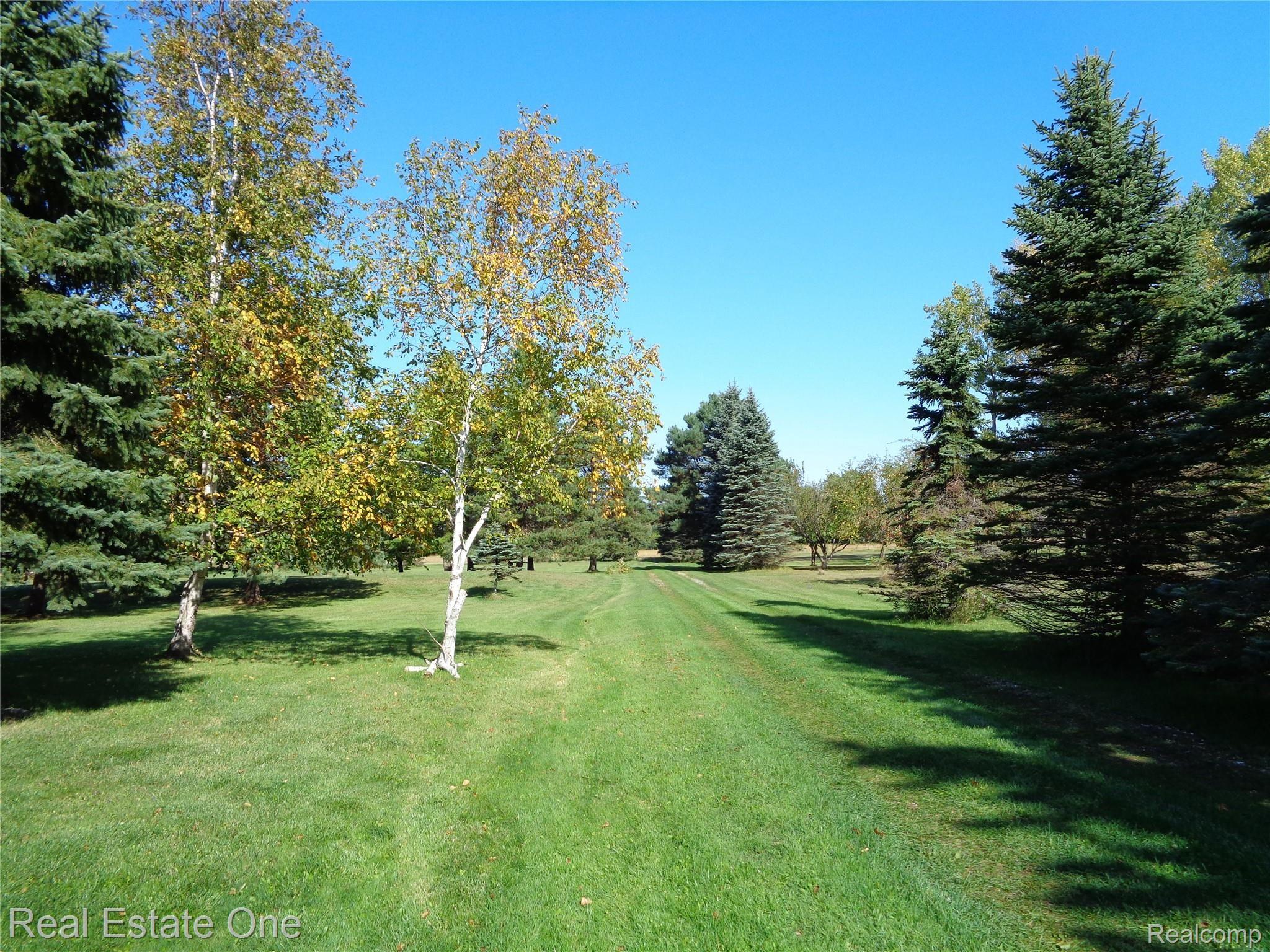 5960 Mills Road Deckerville, MI 48427 - Photo 66 of 79 Long driveway, home is set back. This angle is looking toward the street.