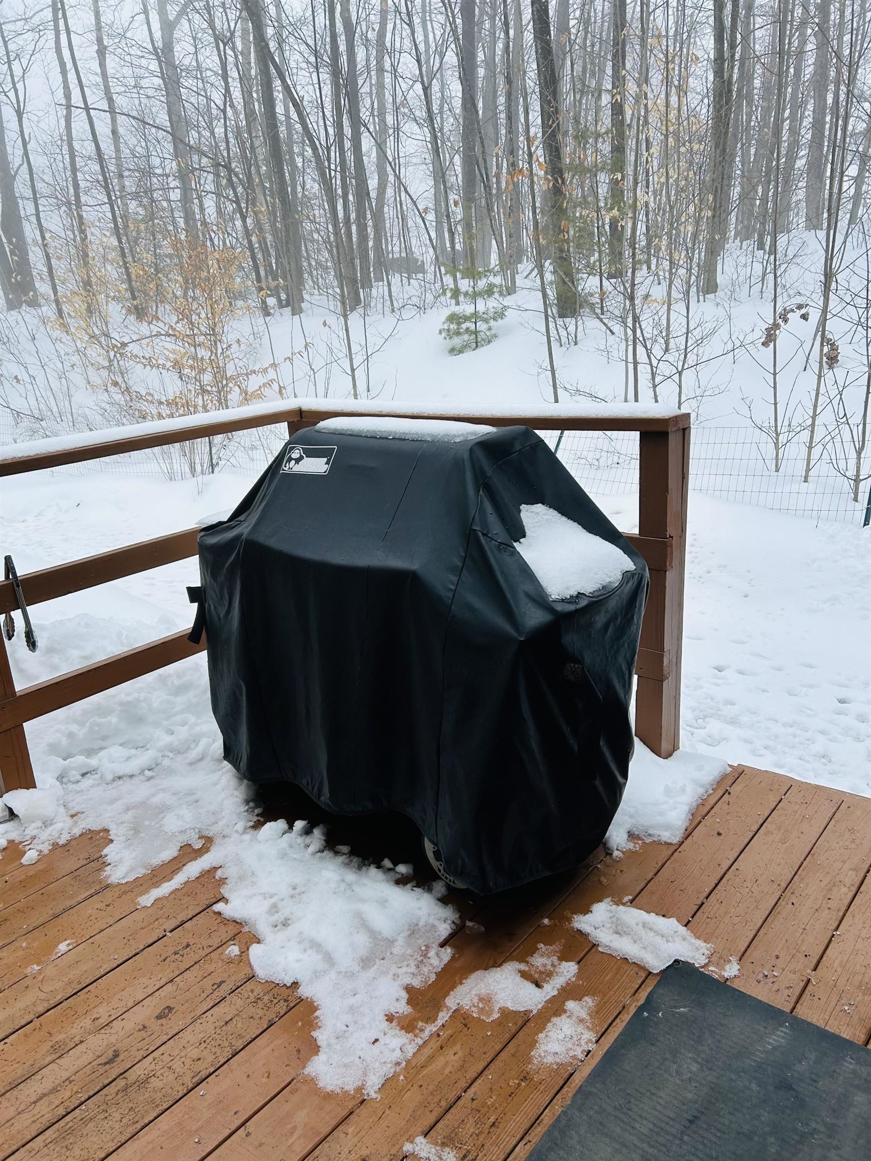 861 Alstead Center Road Alstead, NH 03602 - Photo 19 of 23