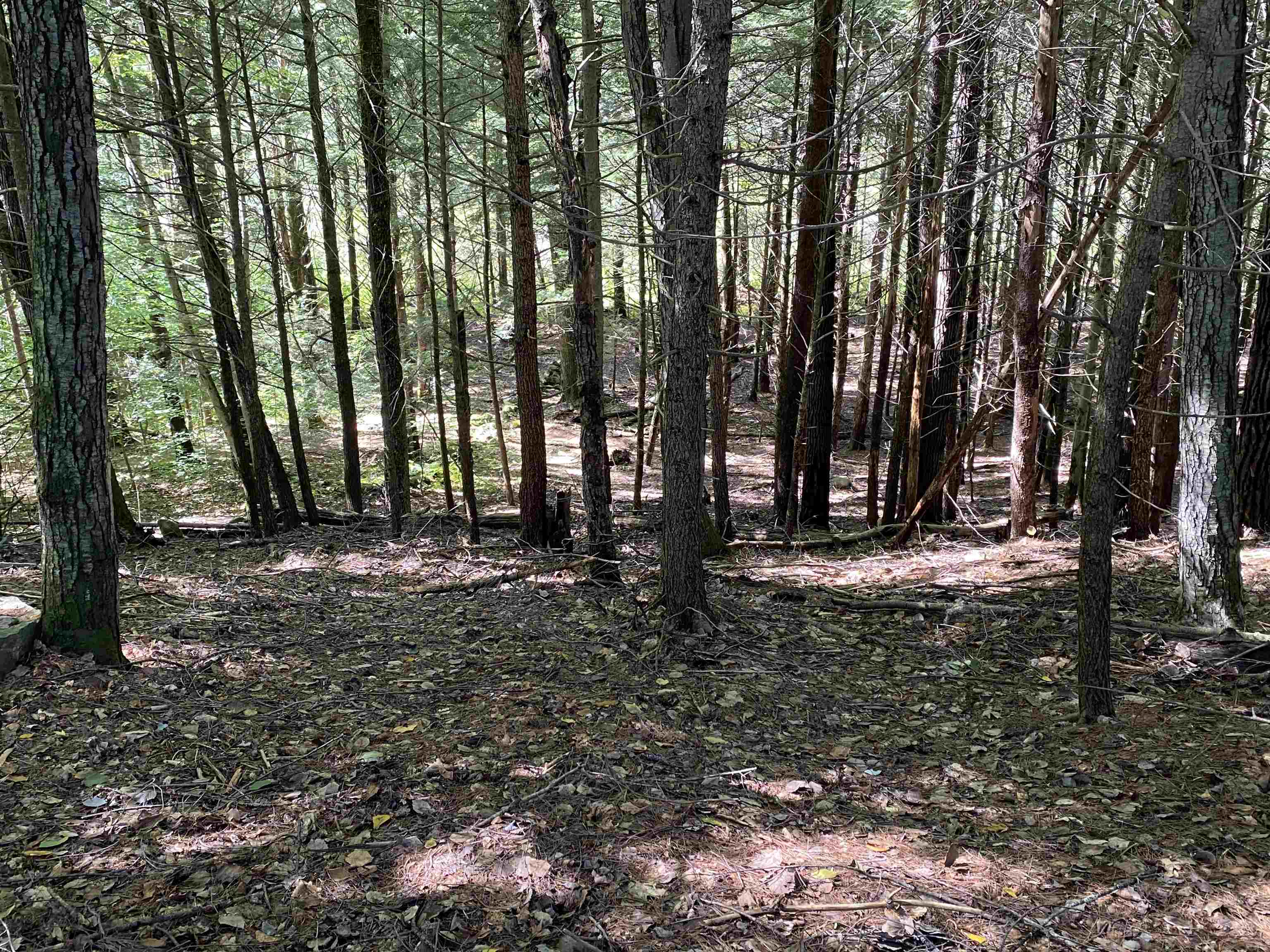 203 Hillwinds Road Brattleboro, VT 05301 - Photo 12 of 31