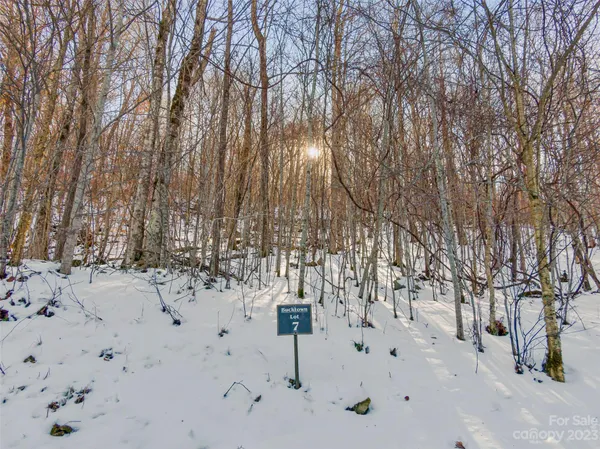a view of white house with a yard covered in snow