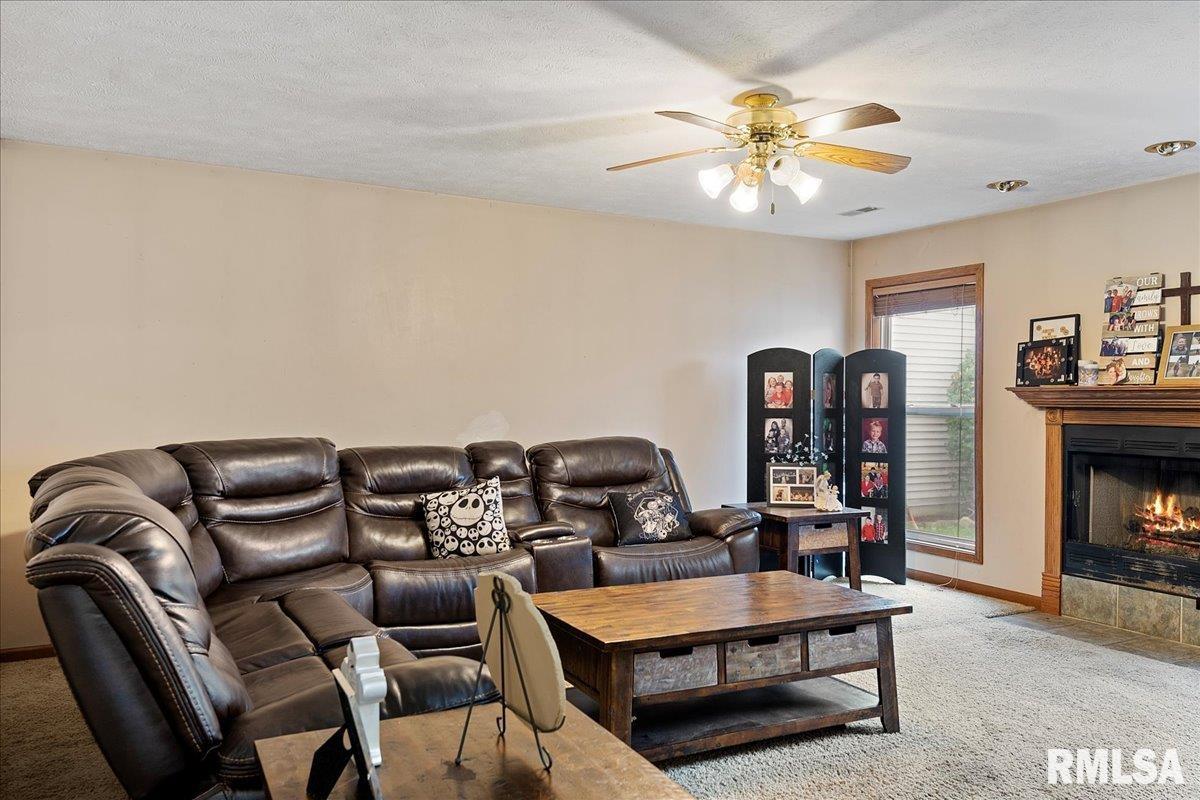 1711 North Albany Street Springfield, IL 62702 - Photo 18 of 36