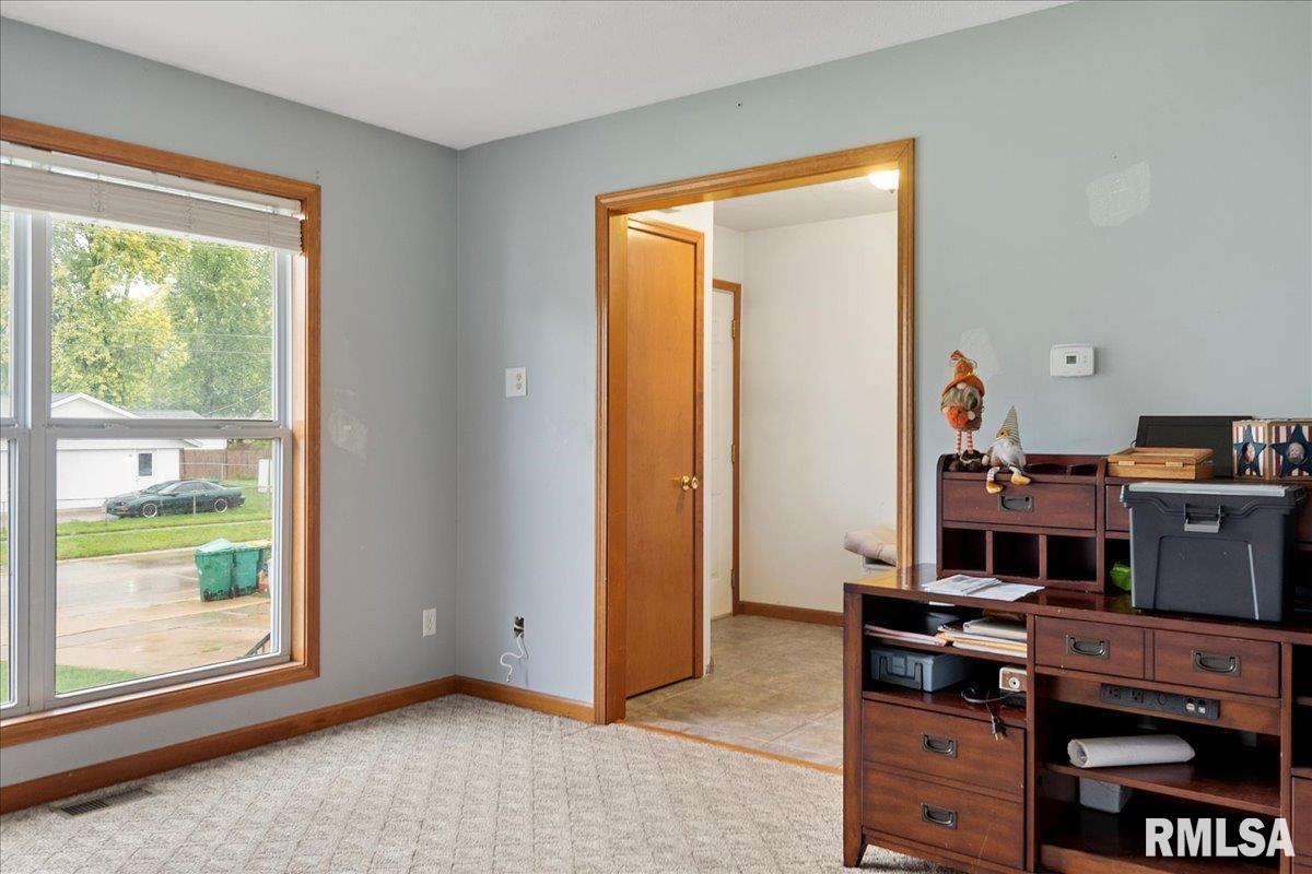 1711 North Albany Street Springfield, IL 62702 - Photo 3 of 36