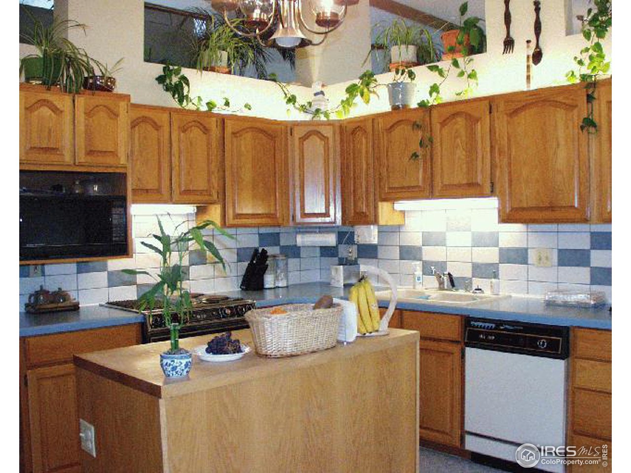 3504 Shore Road Fort Collins, CO 80524 - Photo 9 of 12 Gallery Image 9