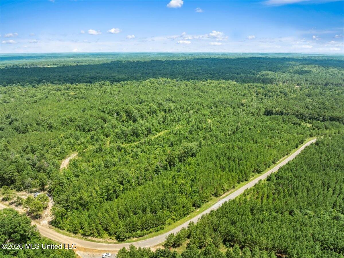 J P Hinton Road Richton, MS 39476 - Photo 2 of 7 IMG_1235