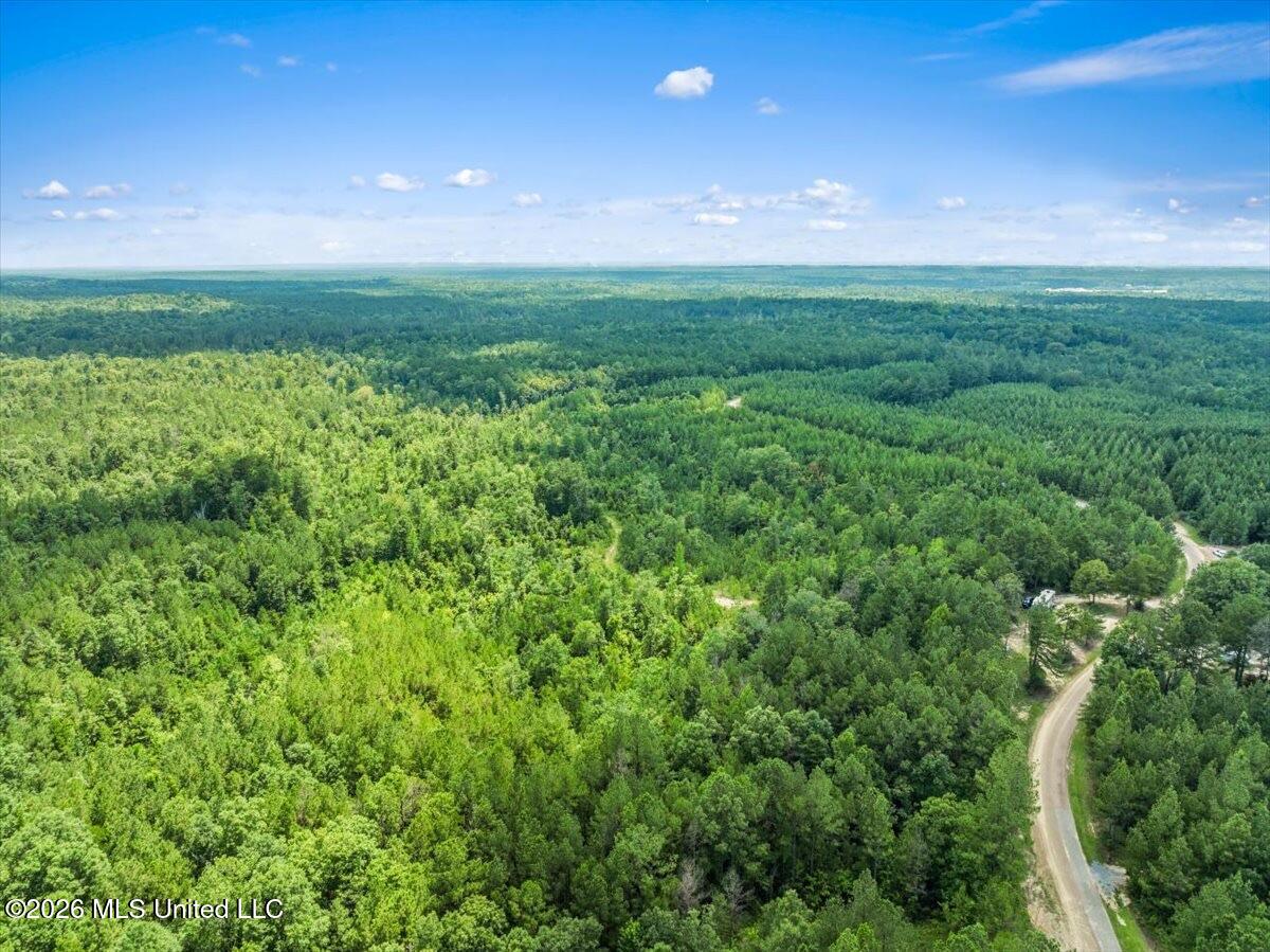J P Hinton Road Richton, MS 39476 - Photo 3 of 7 IMG_1238