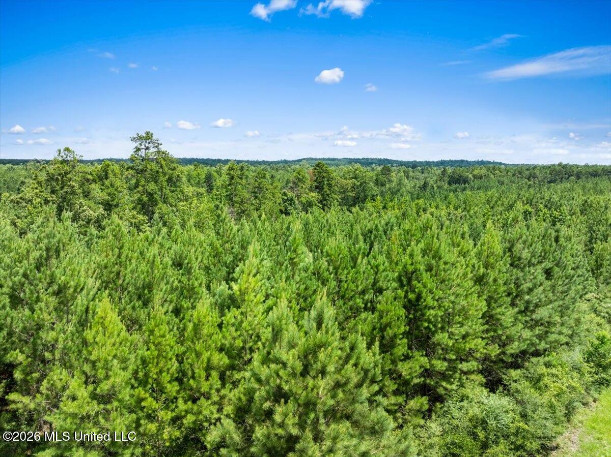 J P Hinton Road Richton, MS 39476 - Photo 4 of 7 IMG_1243