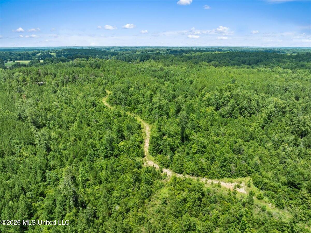 J P Hinton Road Richton, MS 39476 - Photo 5 of 7 IMG_1237