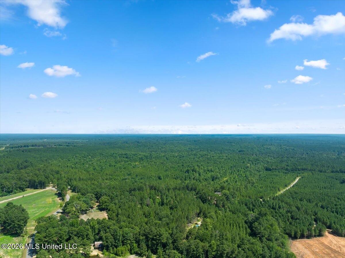 J P Hinton Road Richton, MS 39476 - Photo 7 of 7 IMG_1240