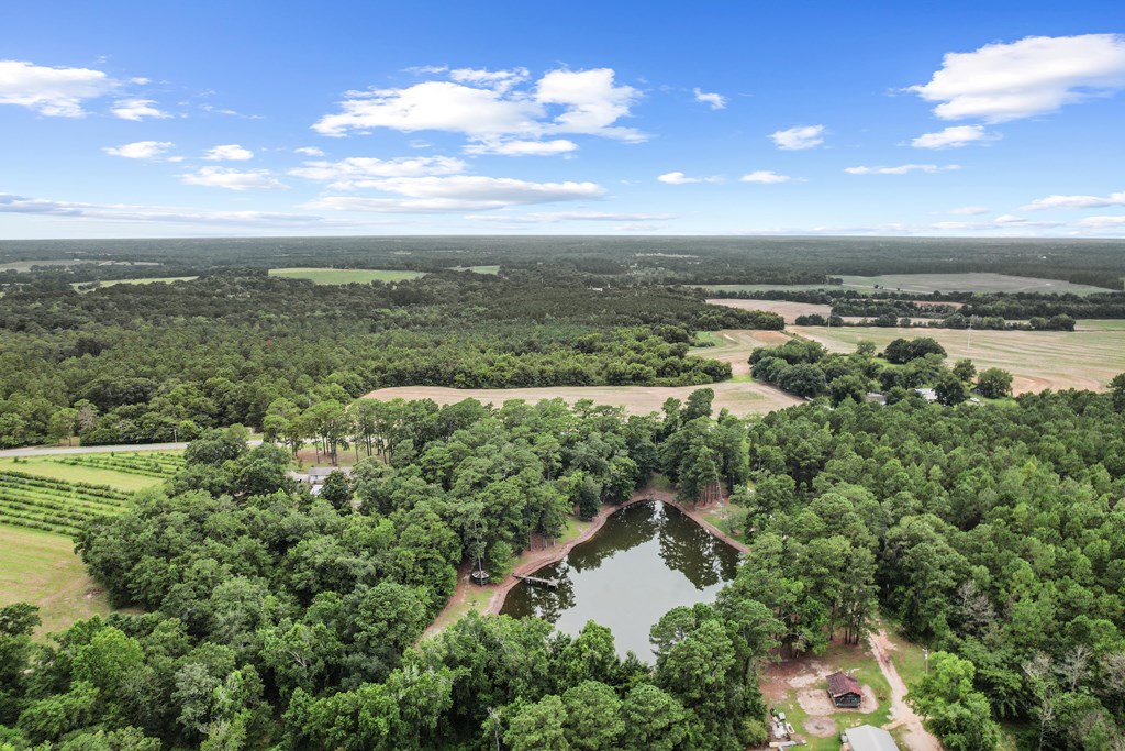 6850 North Co Road Columbia, AL 36319 - Photo 61 of 81