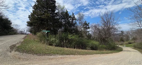 $8,000 | 0 Rue De La Paix, Bonne Terre, MO 63628