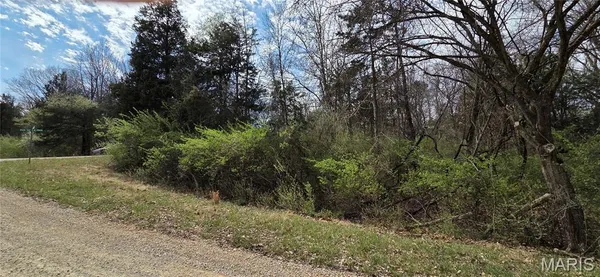 $8,000 | 0 Rue De La Paix, Bonne Terre, MO 63628