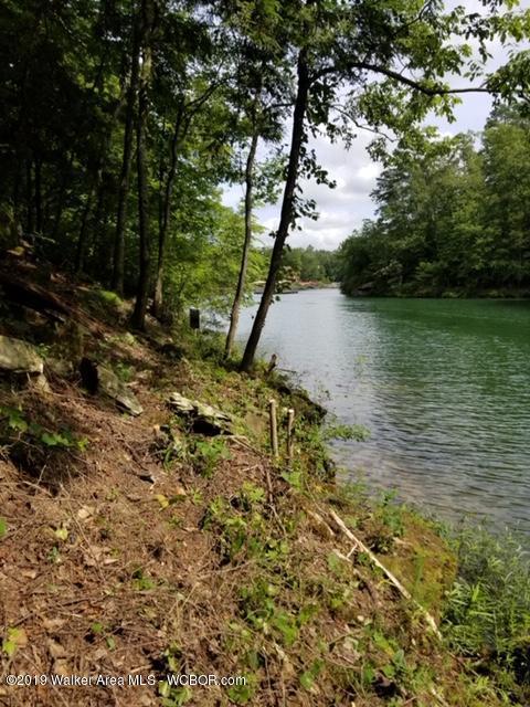 Lot 100 Sipsey Overlook Road Houston, AL 35572 - Photo 4 of 16 Gallery Image 4