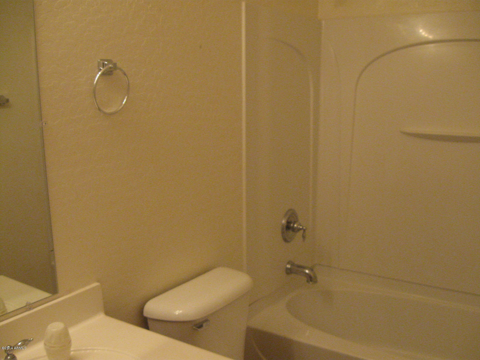 8139 West Riverside Avenue Phoenix, AZ 85043 - Photo 5 of 14 IMG_4825