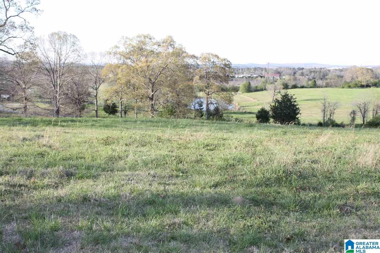 11506 Stemley Road Lincoln, AL 35096 - Photo 12 of 21