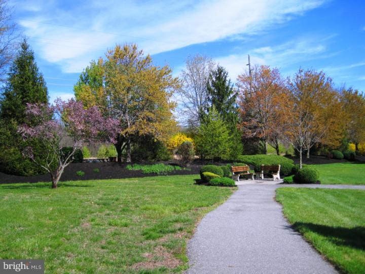 461 Country Way Mickleton, NJ 08056 - Photo 14 of 16 View in Back