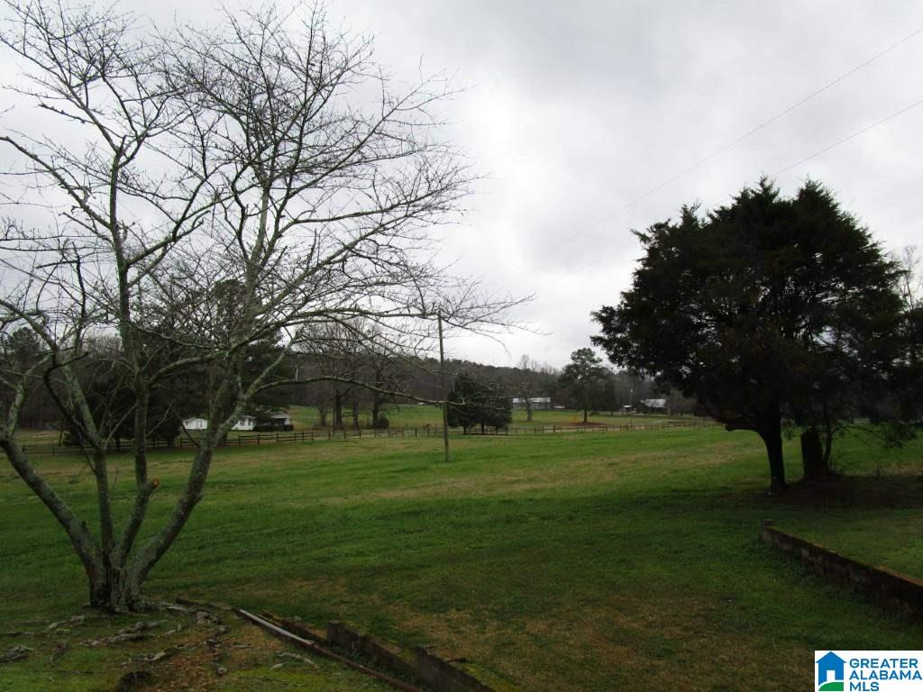 0 Wolf Creek Road Pell City, AL 35128 - Photo 1 of 1