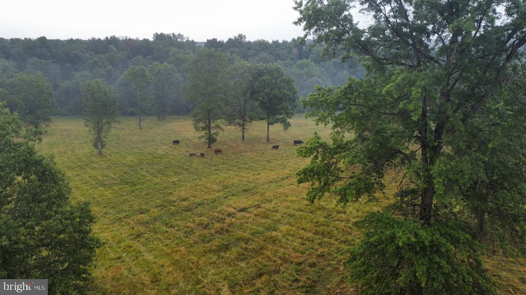 8075 Taylor Road Catlett, VA 20119 - Photo 21 of 23 Paddock
