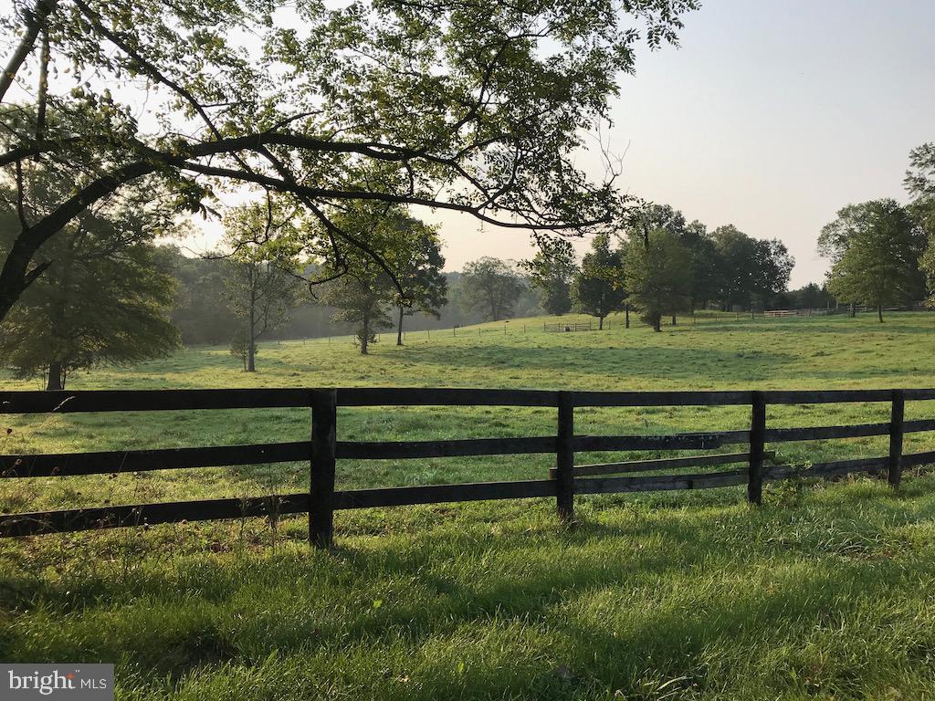 8075 Taylor Road Catlett, VA 20119 - Photo 22 of 23 Paddock