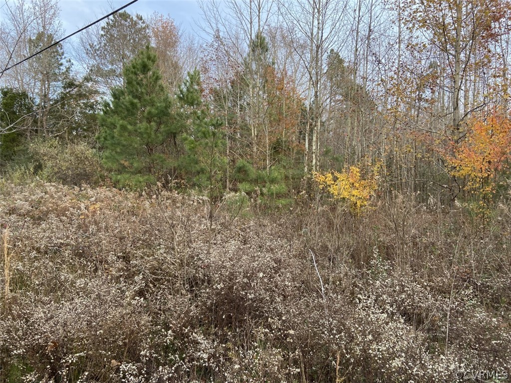 0 Byrds Bridge Road Center Cross, VA 22437 - Photo 2 of 4 Gallery Image 2