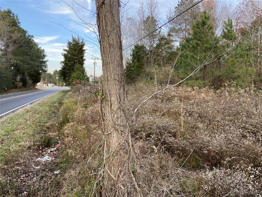0 Byrds Bridge Road Center Cross, VA 22437 - Photo 3 of 4 View of rt. 17 from front of lot