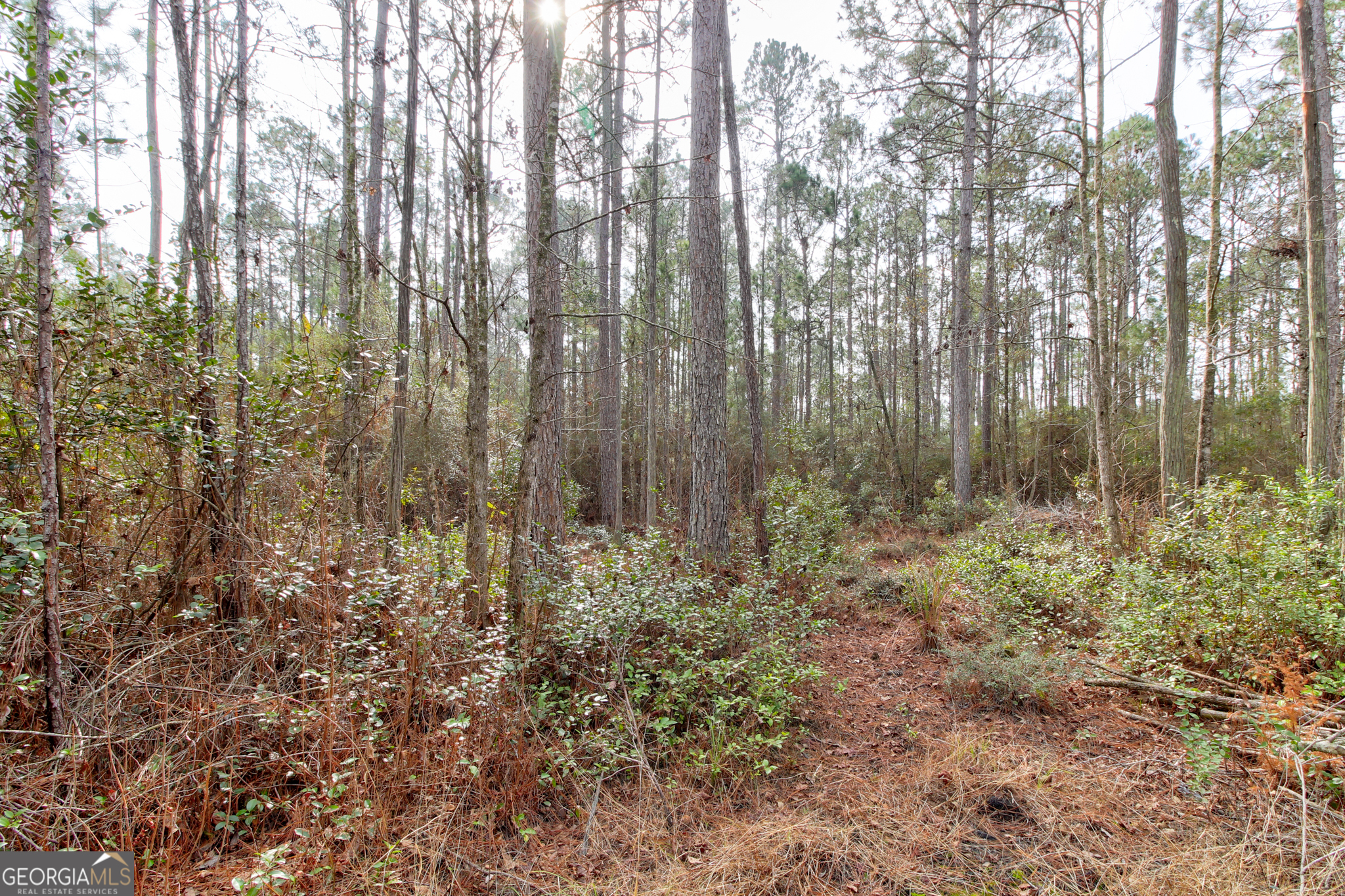 1743 Shawnee Egypt Road Guyton, GA 31312 - Photo 23 of 28