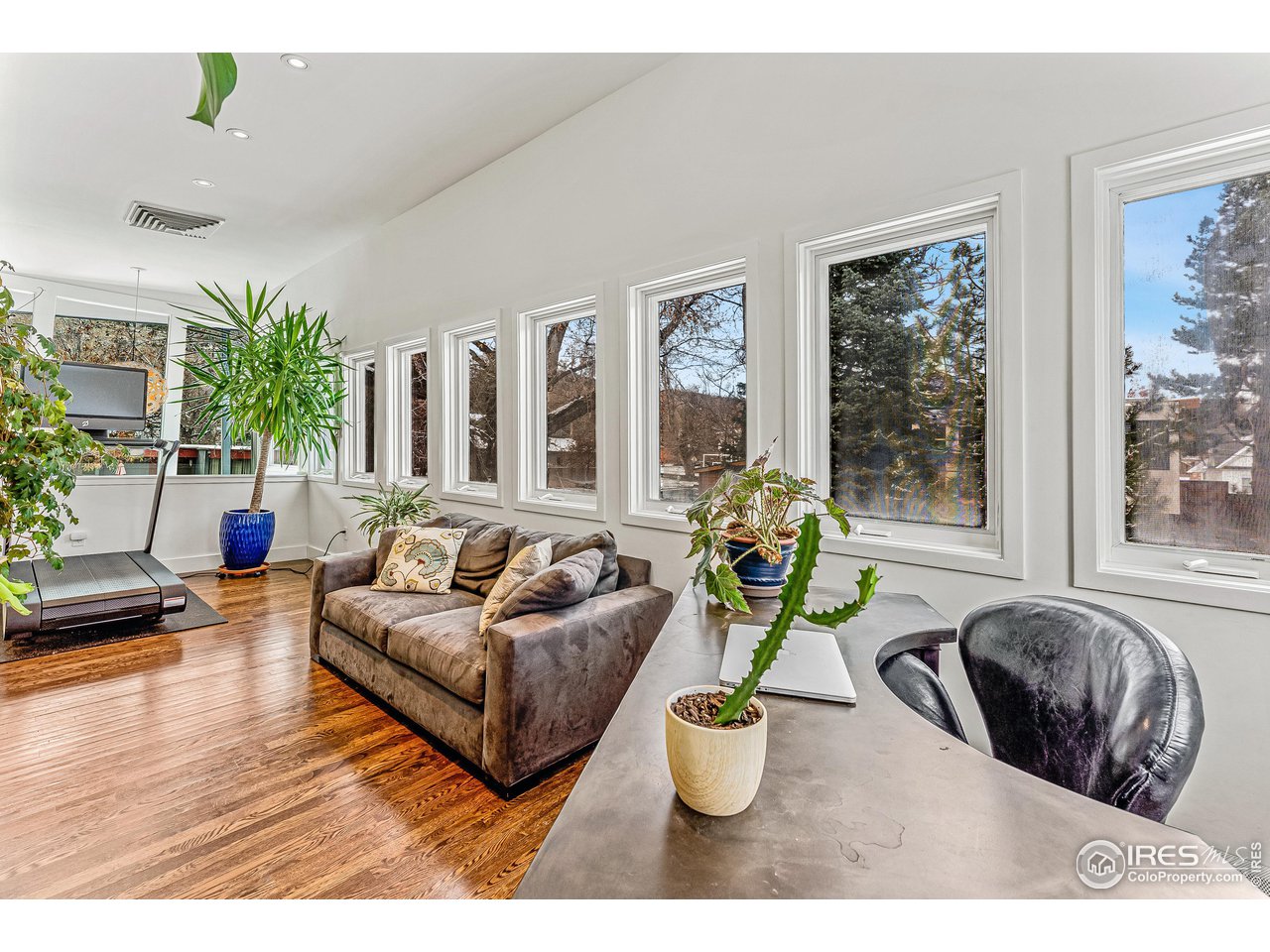 3560 9th Street Boulder, CO 80304 - Photo 22 of 39 a living room with furniture and a potted plant